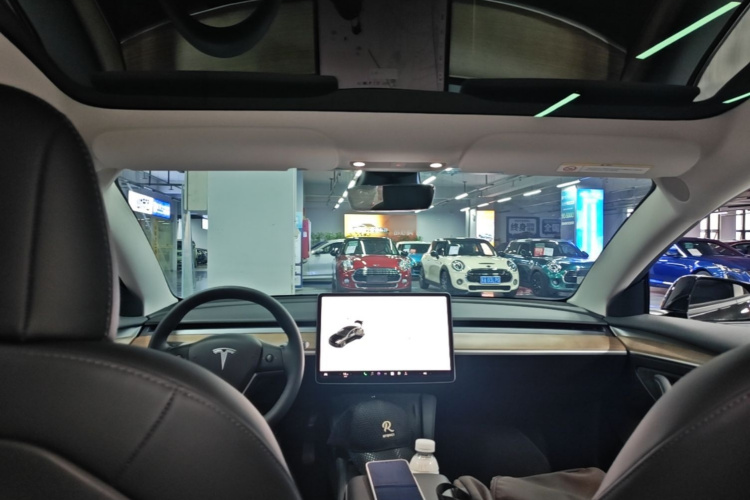 Tesla Model 3 2021 car image #18