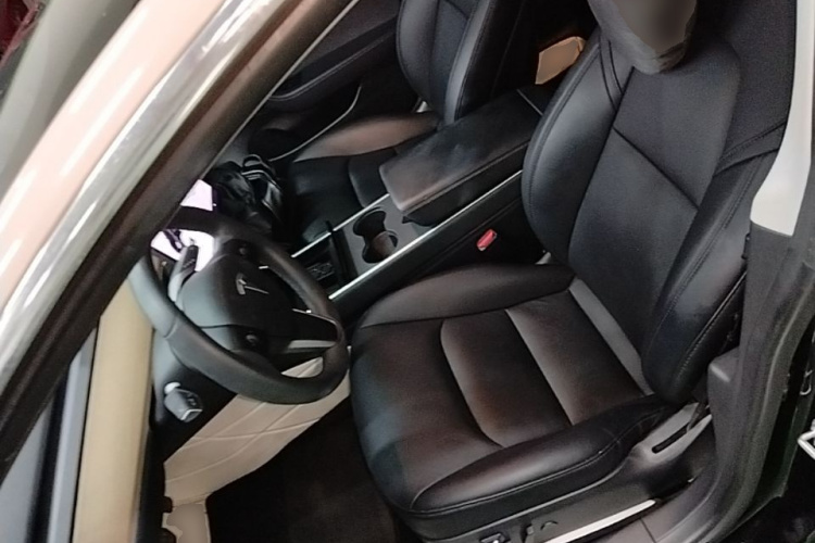 Tesla Model 3 2020 #15 Tesla Model 3 2020 car image #15