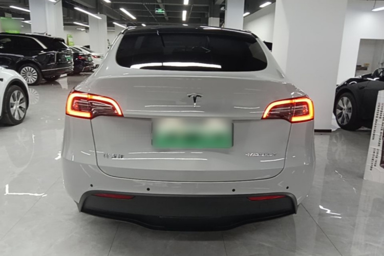 Tesla Model Y 2021 #6 Tesla Model Y 2021 صورة سيارة #6