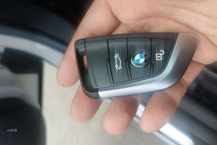 BMW X1 2017 car image #10
