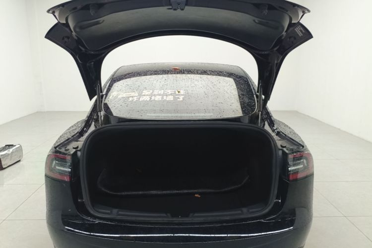 Tesla Model 3 2020 #19 Tesla Model 3 2020 car image #19
