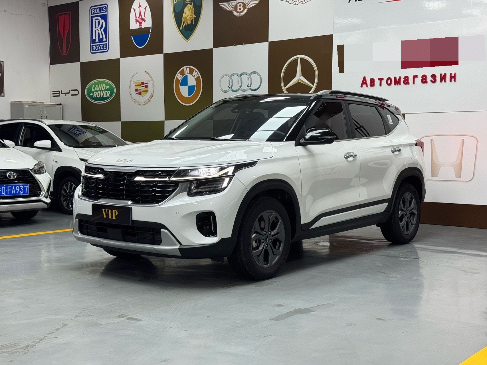 Kia Seltos 2023 car image 