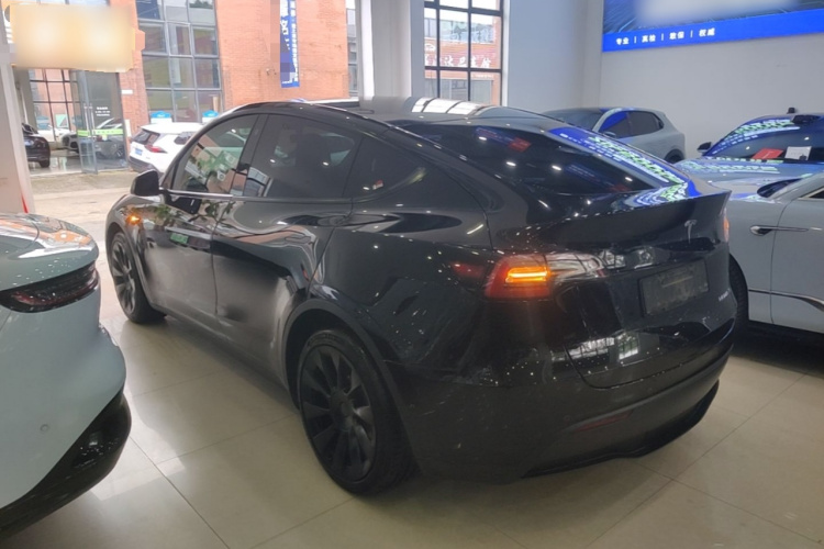 Tesla Model Y 2021 car image #5