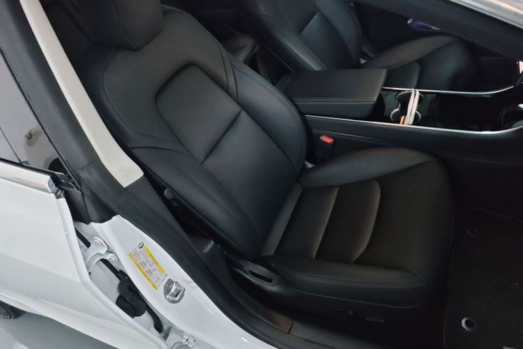 Tesla Model 3 2020 immagine di auto #24
