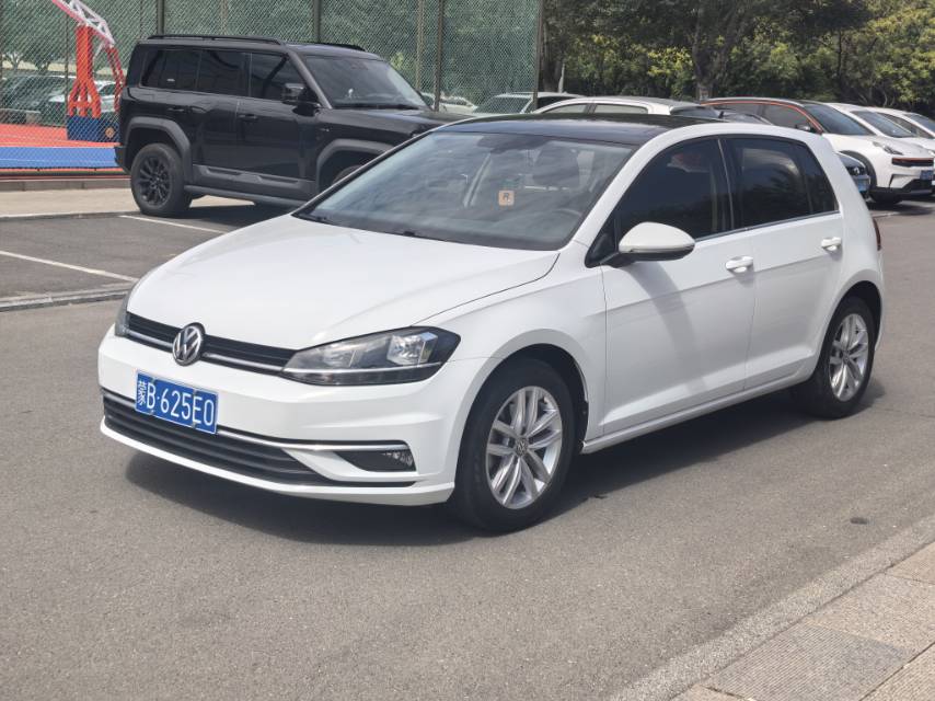 Volkswagen Golf 2019 Volkswagen Golf 2019 car image