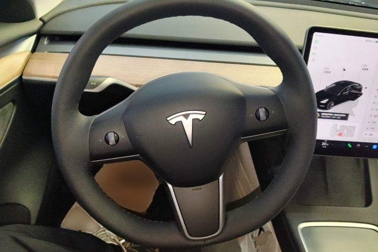 Tesla Model 3 2023 car image #11