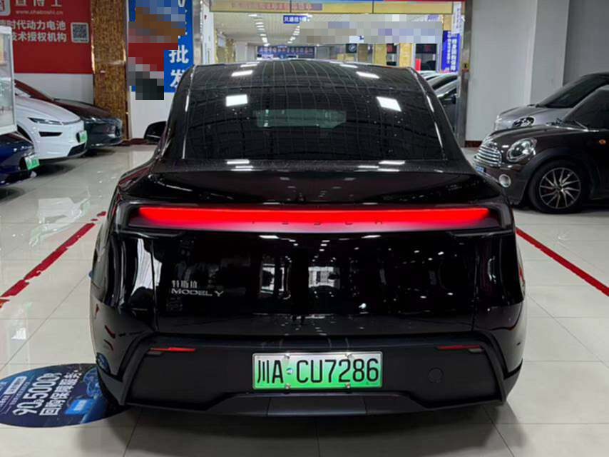 Tesla Model Y 2025 car image #9