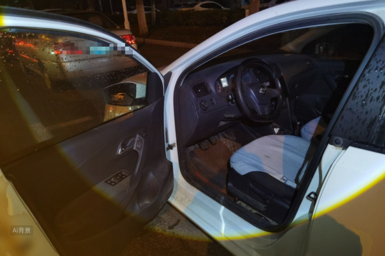 Volkswagen Polo 2016 image de voiture #18