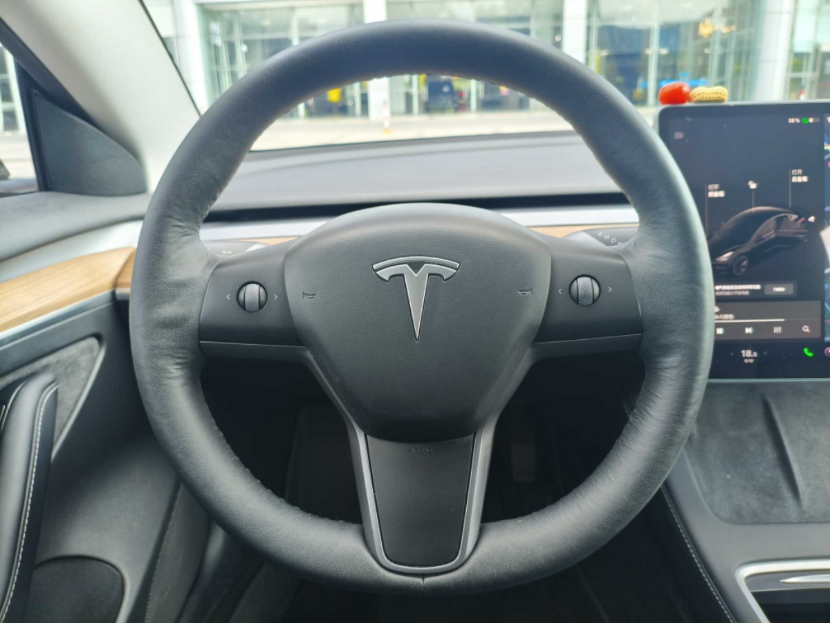 Tesla Model 3 2022 #4 Tesla Model 3 2022 car image #4