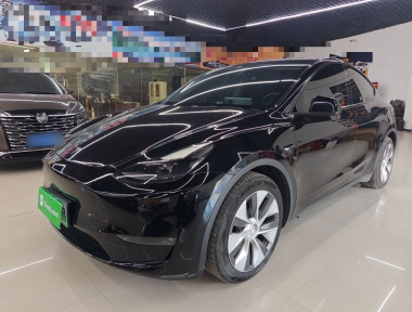 Tesla Model Y 2021 car image 