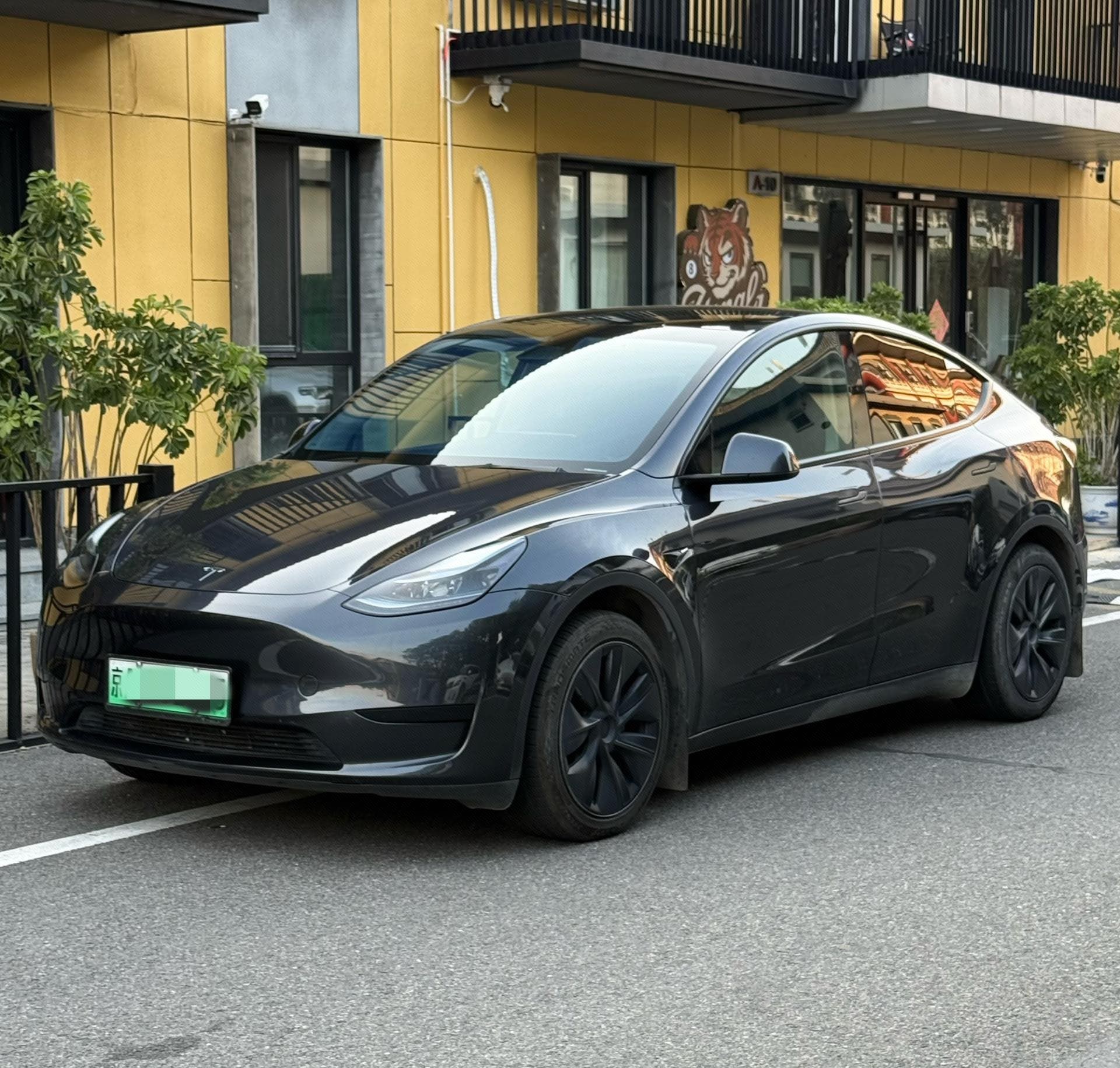 Tesla Model Y 2024 car image 