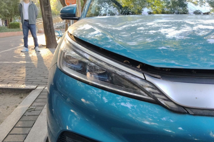 BYD Yuan Plus 2022 #8 BYD Yuan Plus 2022 image de voiture #8