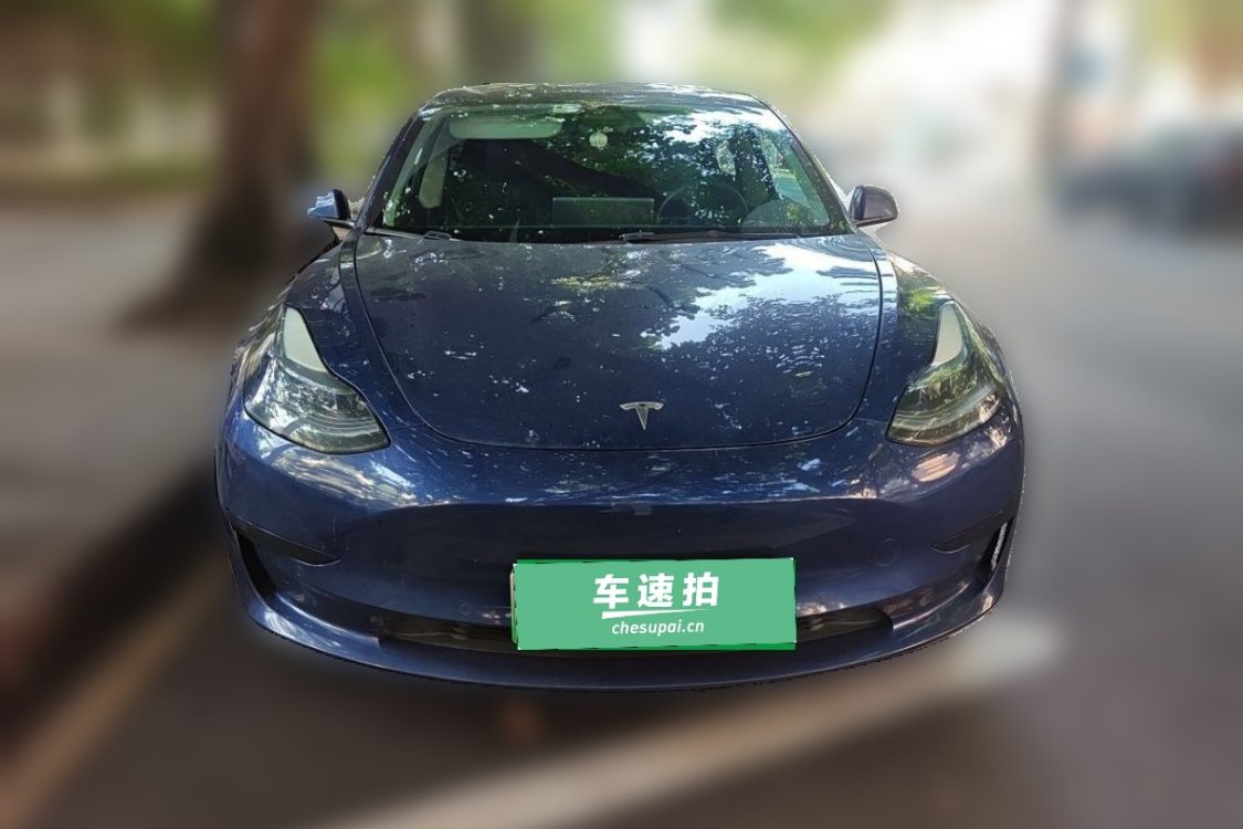 Tesla Model 3 2021 #5 Tesla Model 3 2021 car image #5