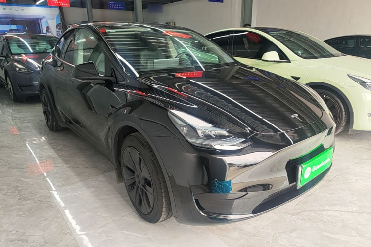 Tesla Model Y 2023 #4 Tesla Model Y 2023 car image #4