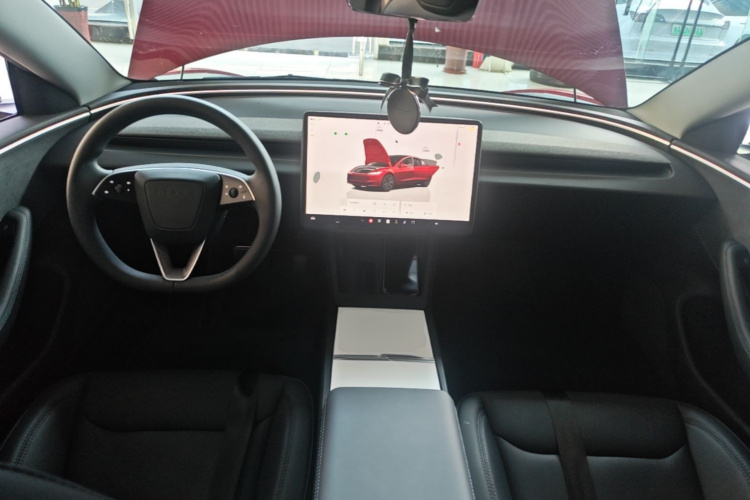 Tesla Model 3 2024 immagine di auto #10