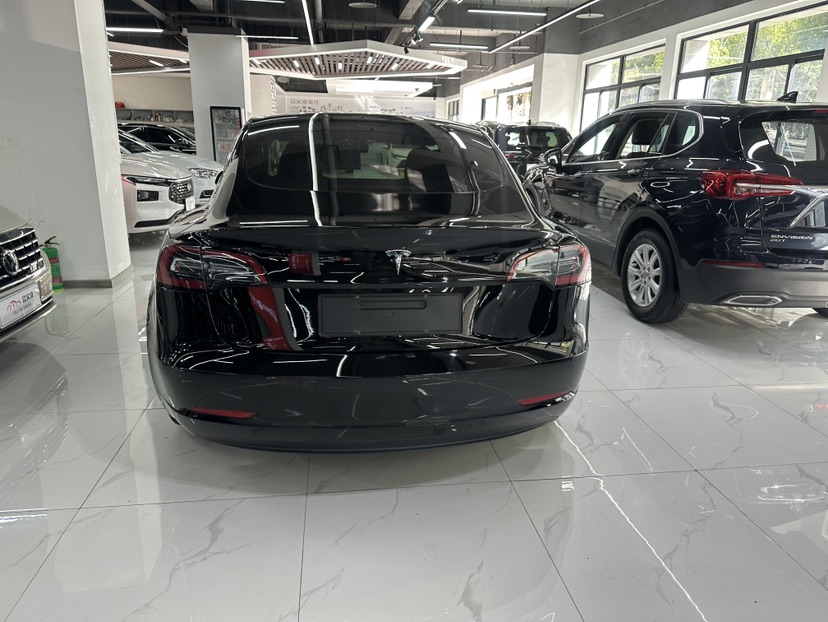Tesla Model 3 2021 car image #6