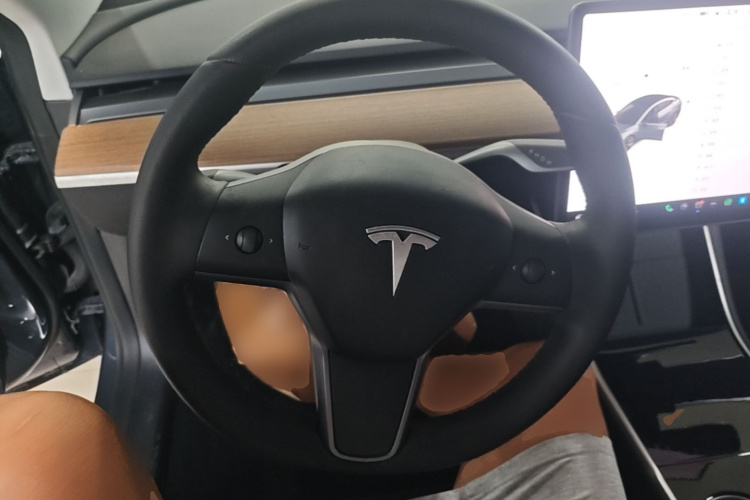 Tesla Model 3 2020 car image #11