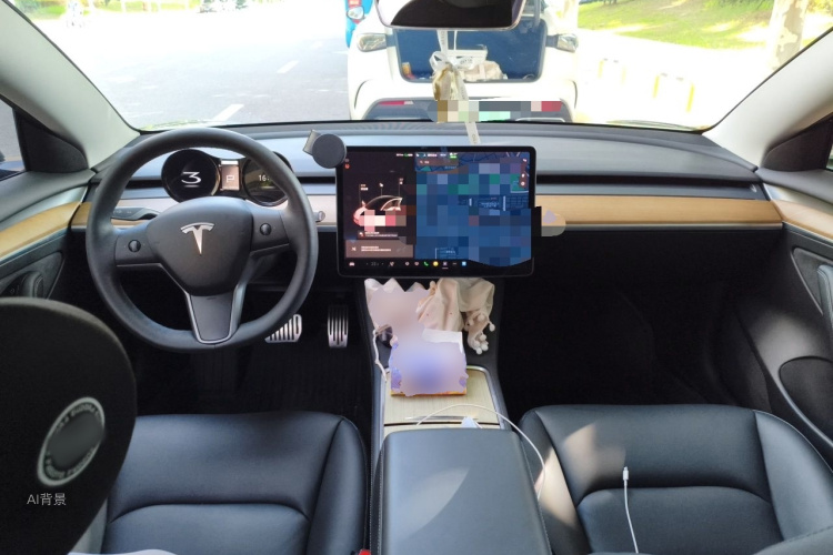 Tesla Model 3 2021 car image #11