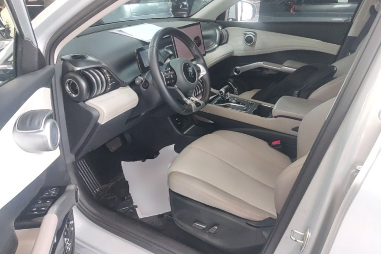 BYD Yuan Plus 2023 car image #16