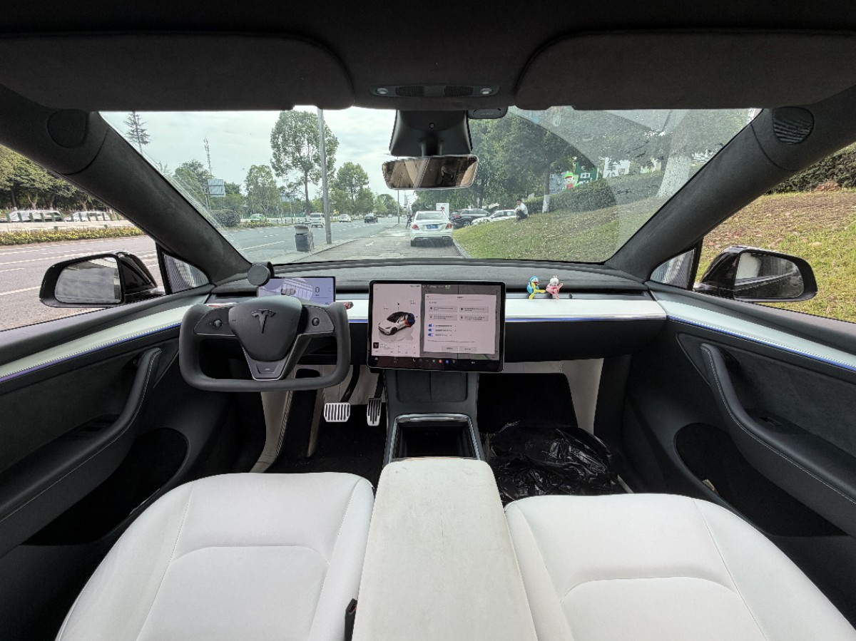 Tesla Model Y 2023 #3 Tesla Model Y 2023 car image #3