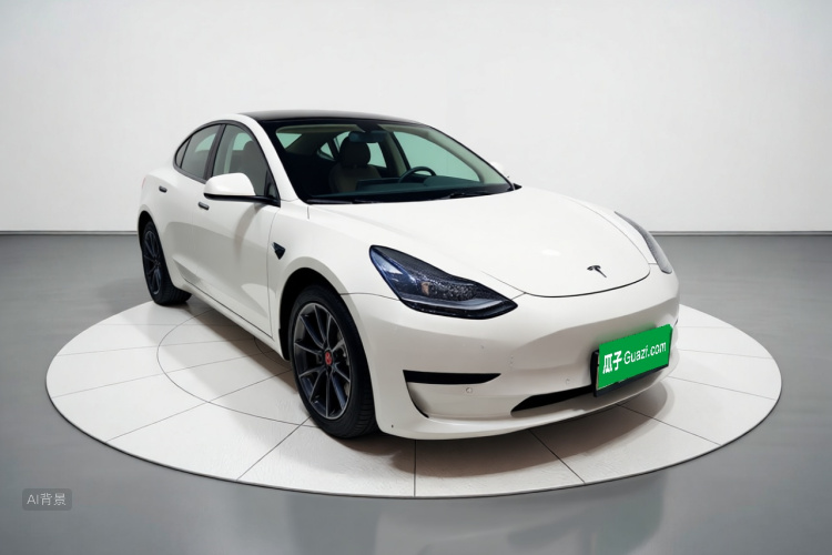 Tesla Model 3 2022 #4 Tesla Model 3 2022 car image #4