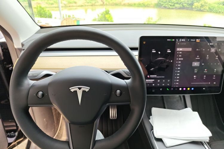 Tesla Model Y 2023 #13 Tesla Model Y 2023 car image #13