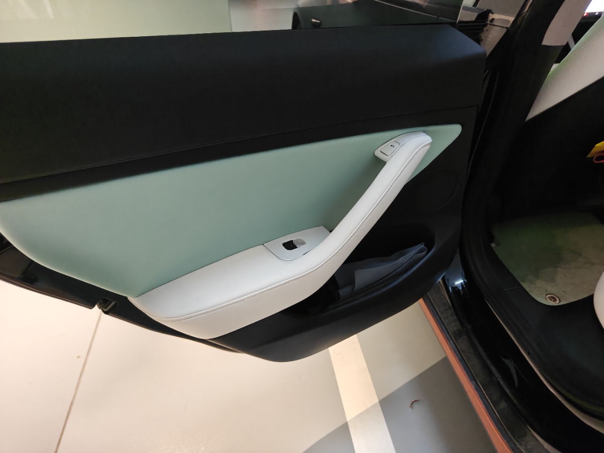 Tesla Model 3 2021 car image #12