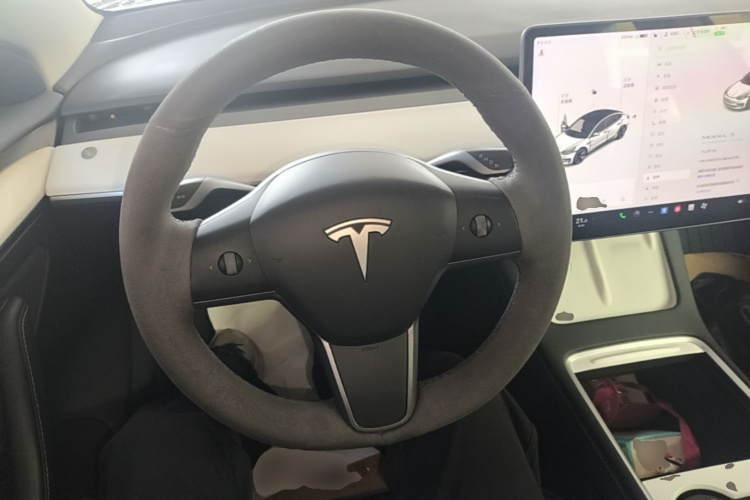 Tesla Model 3 2021 car image #15