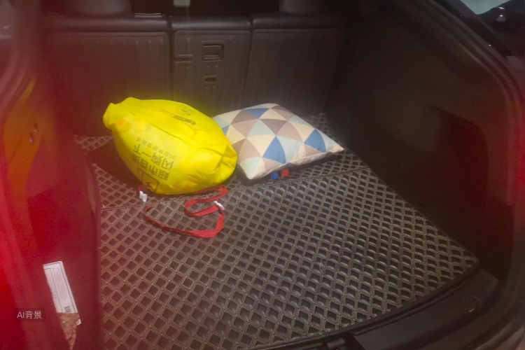 Tesla Model Y 2021 car image #21