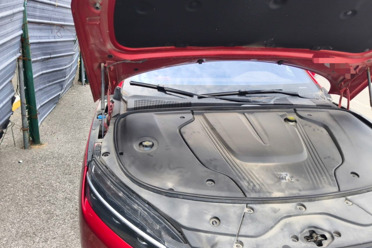BYD Han 2021 car image #28