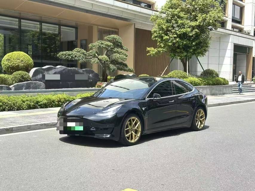 Tesla Model 3 2020 Tesla Model 3 2020 car image