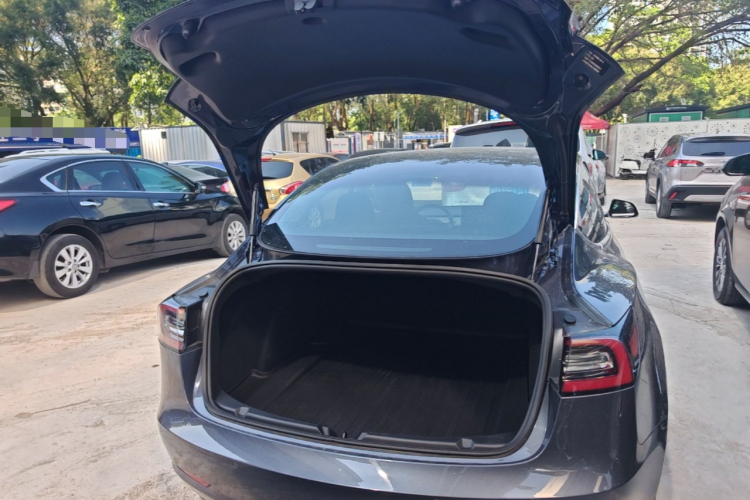 Tesla Model 3 2020 #19 Tesla Model 3 2020 صورة سيارة #19