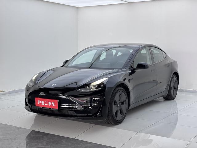 Tesla Model 3 2021 #25 Tesla Model 3 2021 car image #25