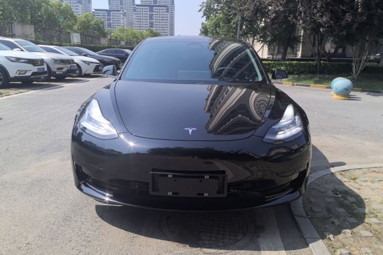 Tesla Model 3 2020 car image #3