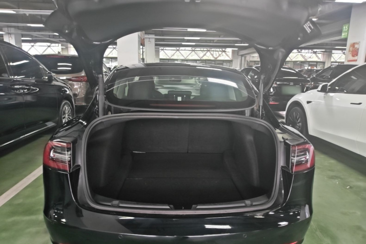 Tesla Model 3 2021 #21 Tesla Model 3 2021 car image #21