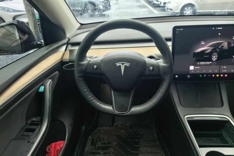 Tesla Model Y 2023 car image #12