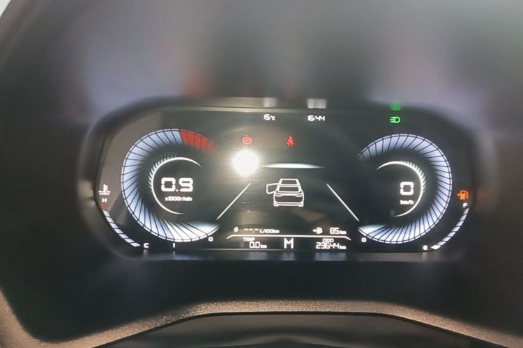 GEELY Emgrand 2022 immagine di auto #12