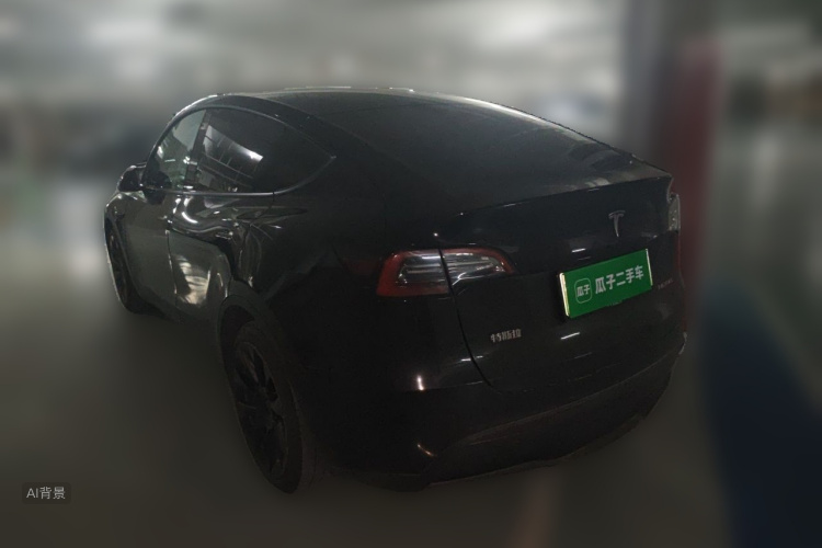 Tesla Model Y 2021 car image #5