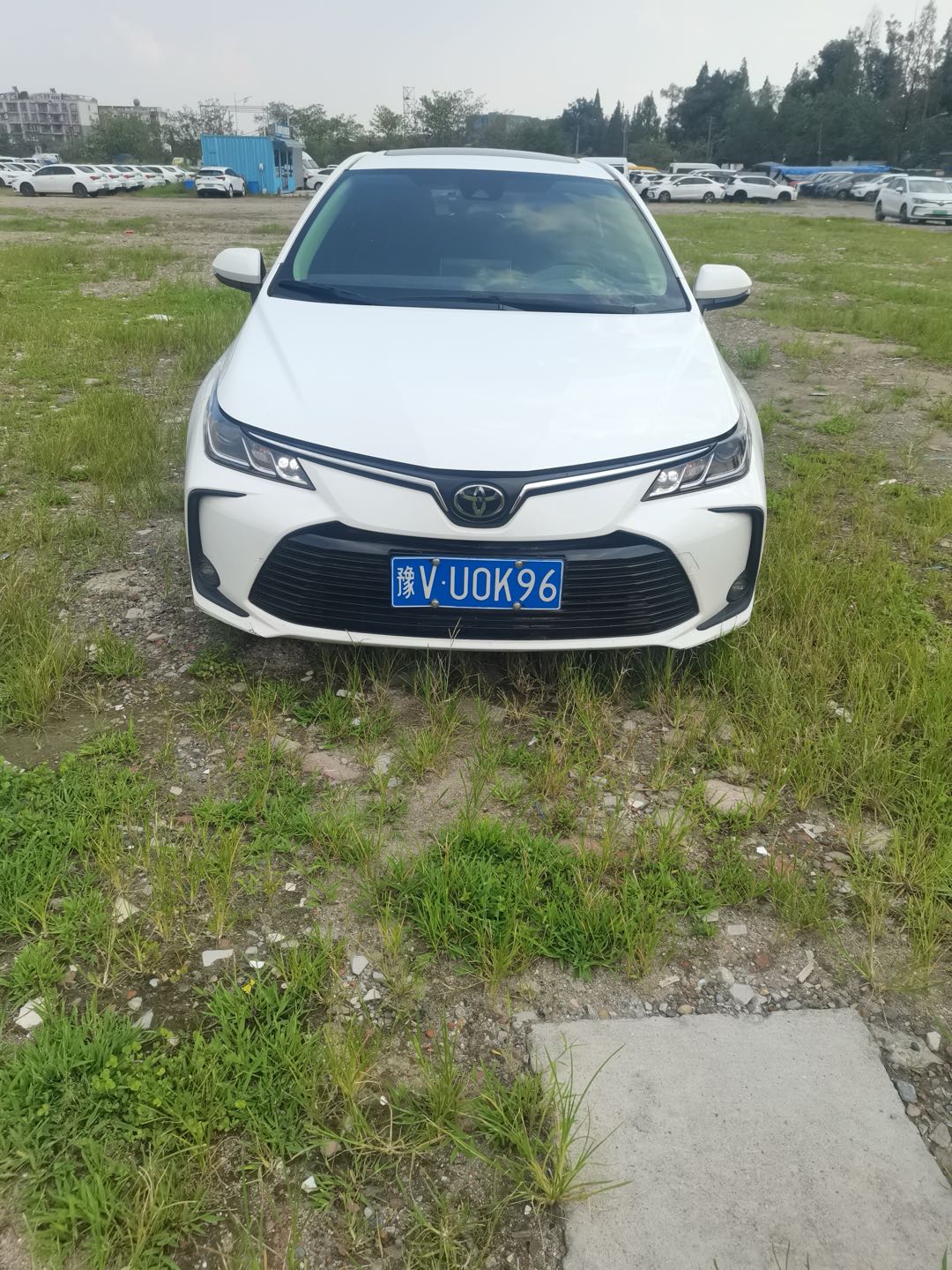 Toyota Corolla 2022 car image #4