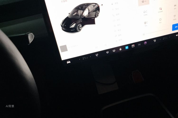Tesla Model 3 2021 immagine di auto #13