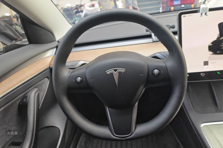 Tesla Model 3 2023 car image #12
