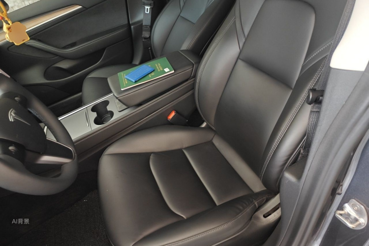 Tesla Model 3 2021 car image #17