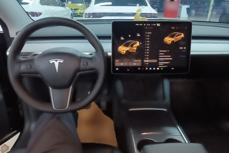 Tesla Model Y 2023 #10 Tesla Model Y 2023 car image #10