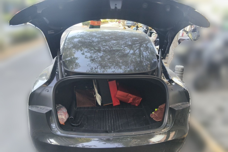 Tesla Model 3 2023 #17 Tesla Model 3 2023 car image #17