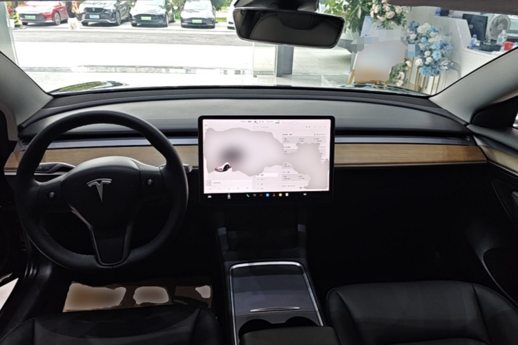 Tesla Model 3 2021 car image #10