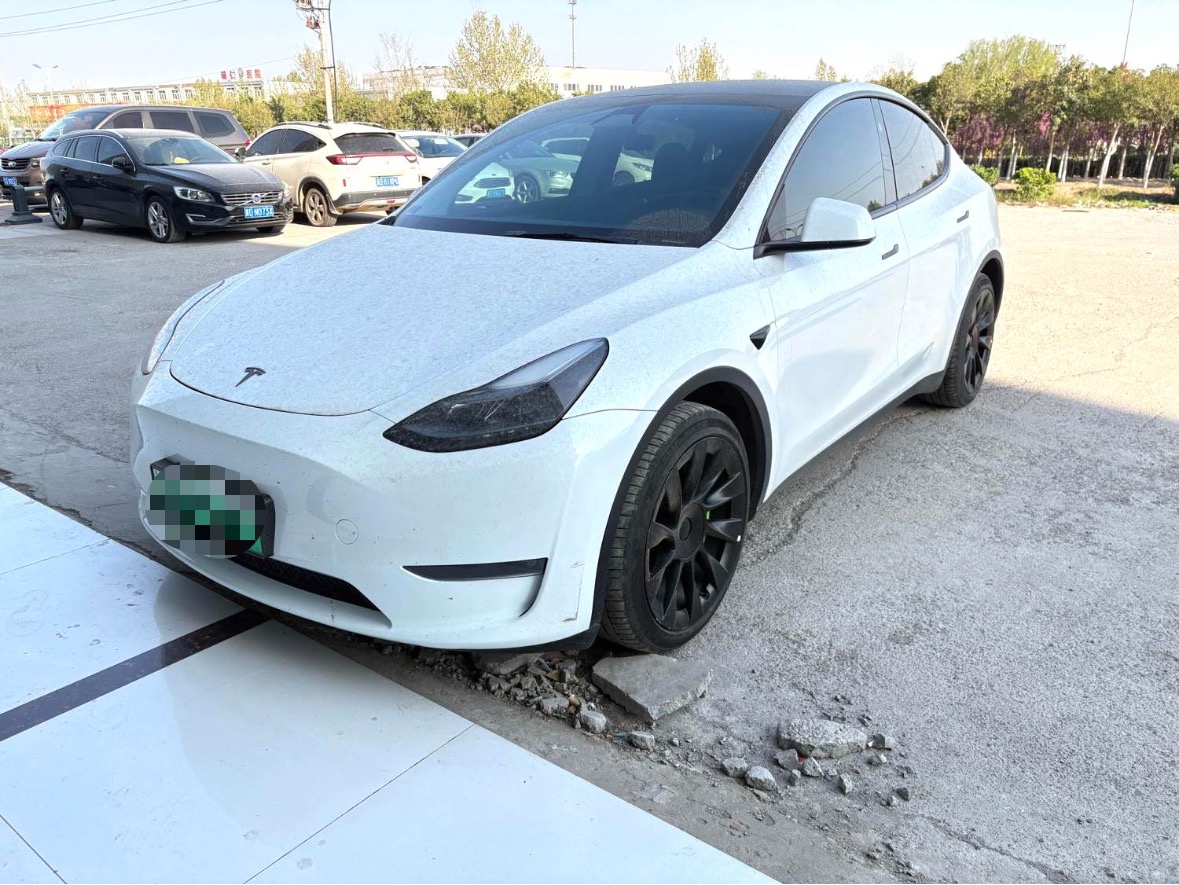 Tesla Model Y 2024 Tesla Model Y 2024 car image