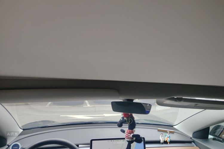 Tesla Model 3 2020 صورة سيارة #20