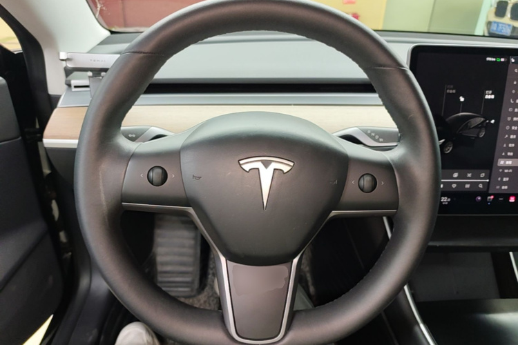 Tesla Model 3 2020 car image #11