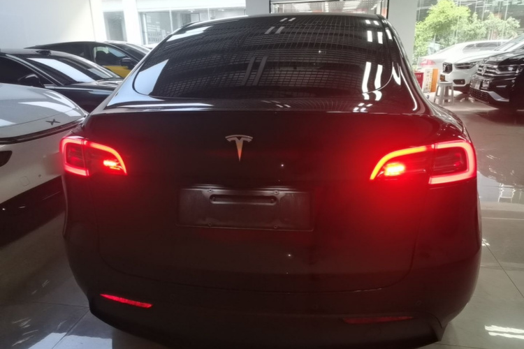 Tesla Model Y 2023 #6 Tesla Model Y 2023 car image #6