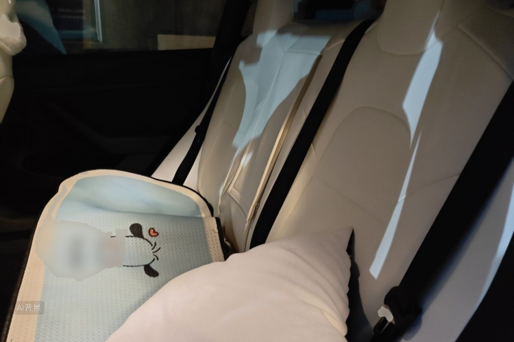 Tesla Model 3 2022 car image #19